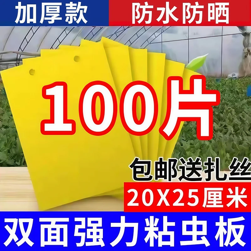 粘虫板家用黄板蓝板双面诱虫粘飞虫阳台小黑飞大棚果园果蝇诱捕器