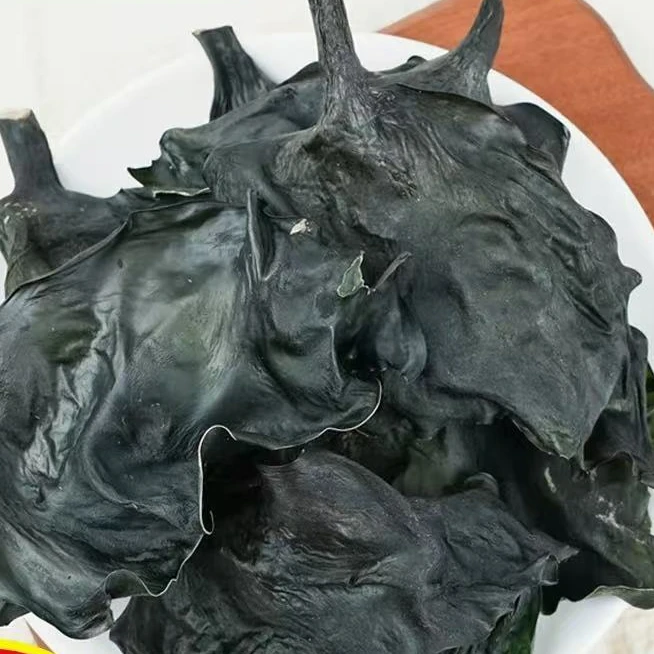 霞浦特产免洗烘干海带头天然无盐无沙100g厚海带头火锅麻辣烫冒菜
