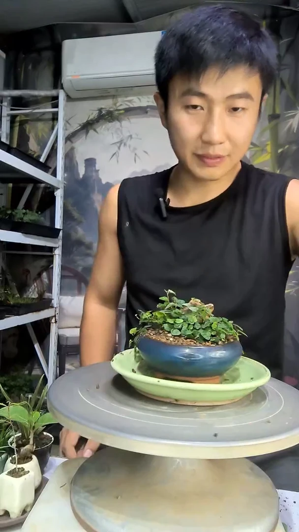 龙*芸中青园艺一物一拍27