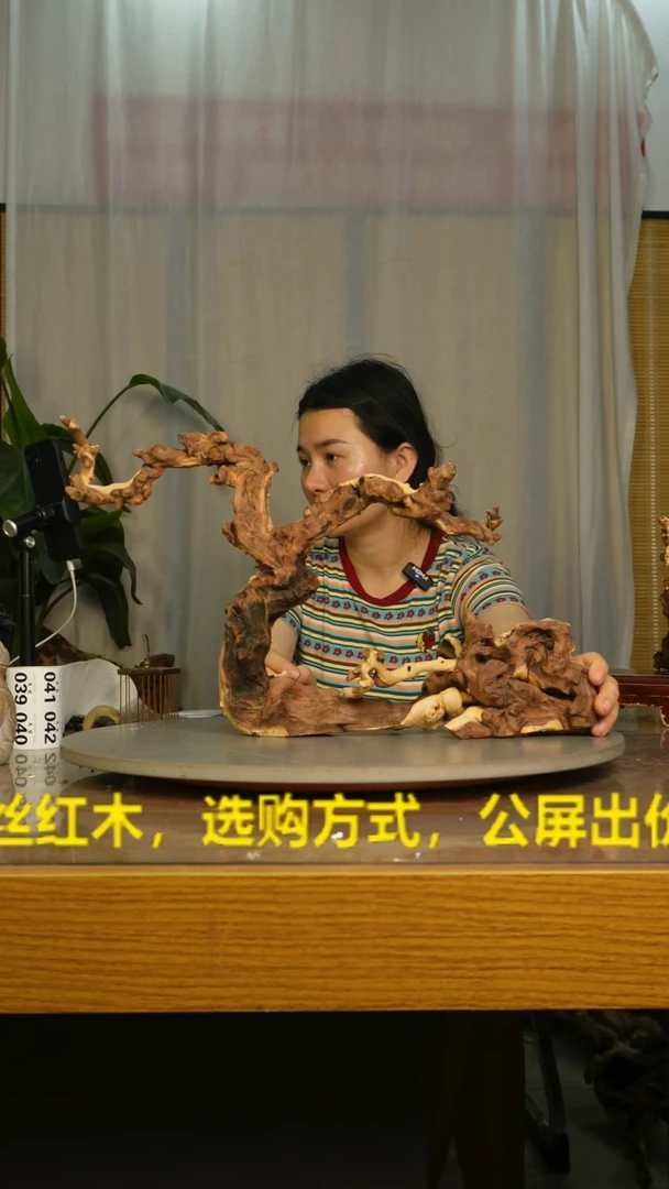 木老*翁云南红河金丝红008