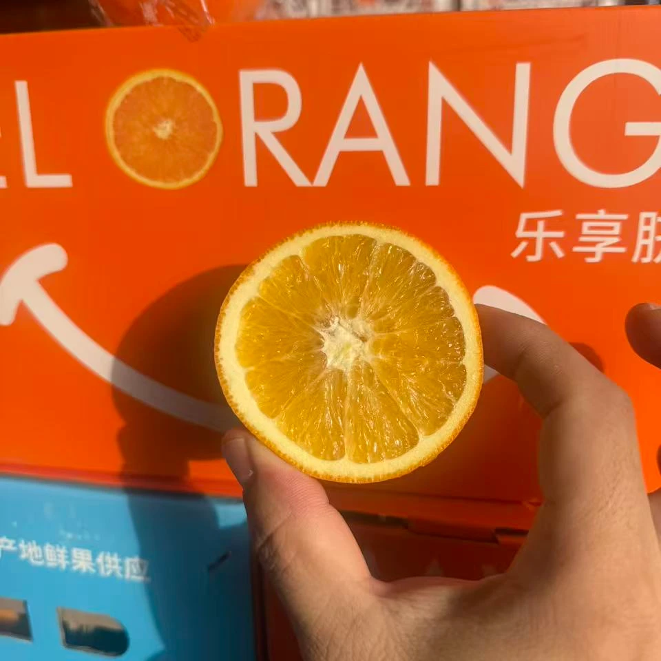 【果叔源选】乐享赣南脐橙1箱6.5-7斤  橙香四溢顺丰包邮