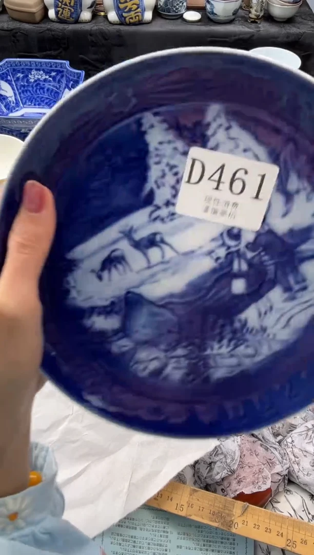 瓷片       D461