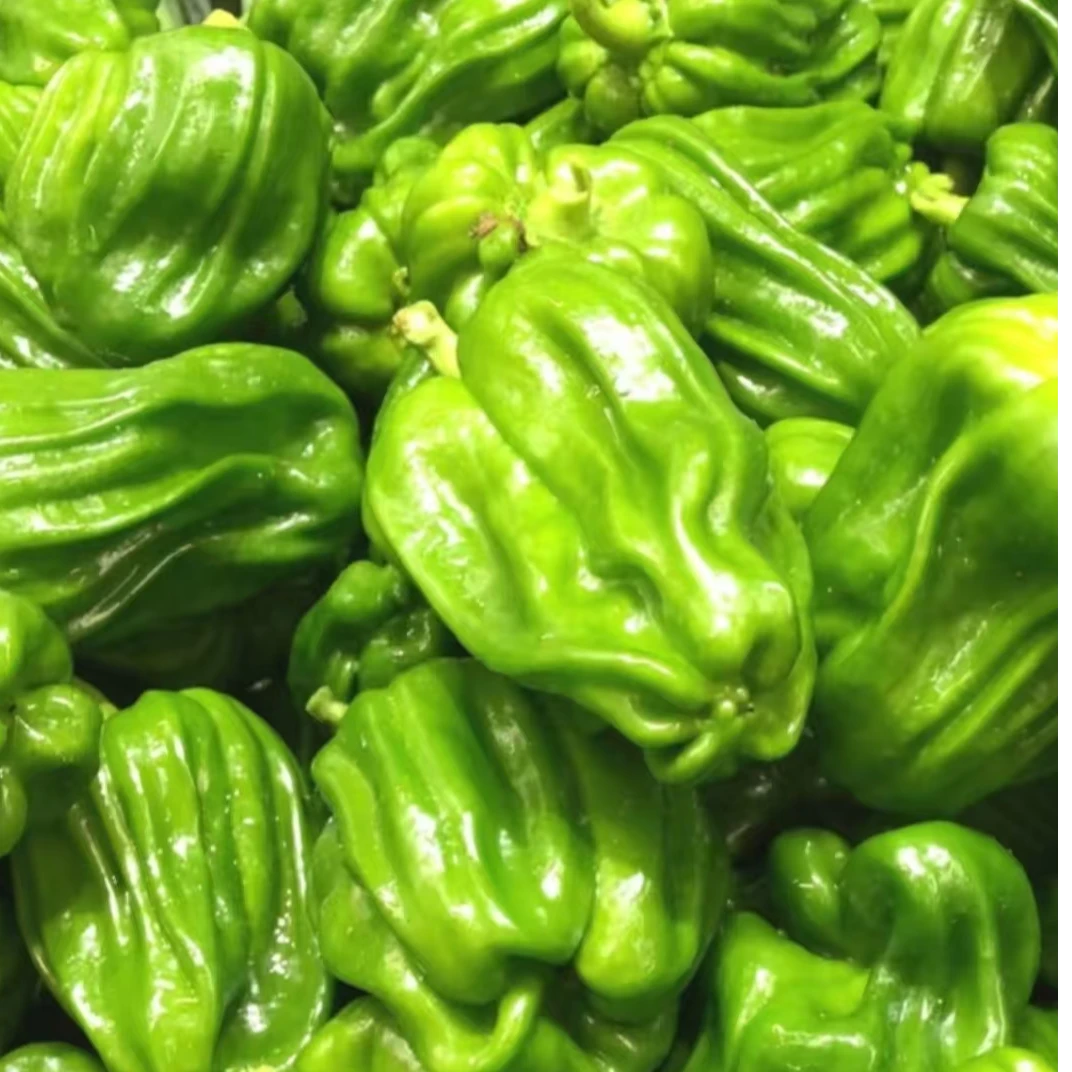 麻椒 240g-260g/份