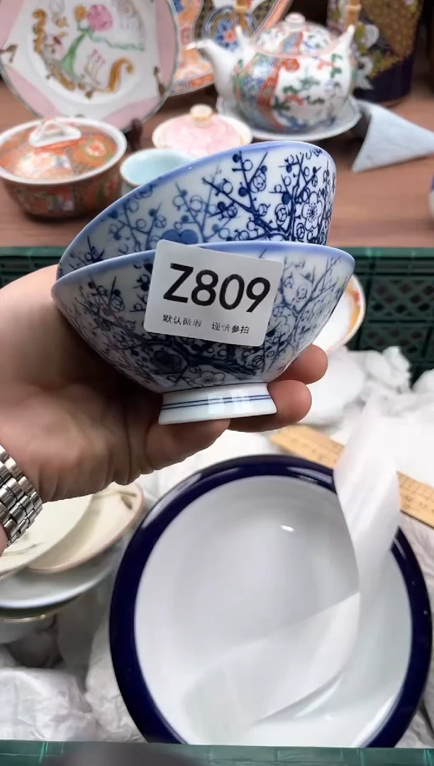 【闪购商品】瓷片809