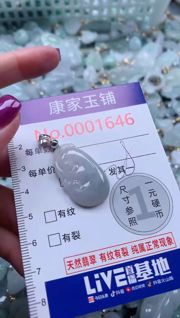 颈饰未镶嵌翡翠1646
