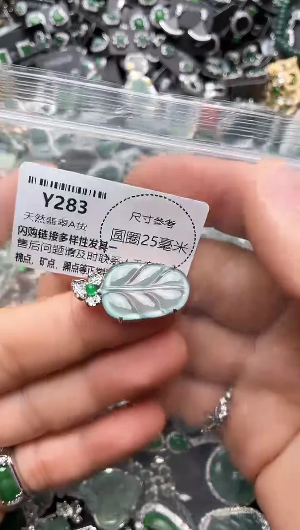 翡翠未镶嵌颈饰Y283吊坠