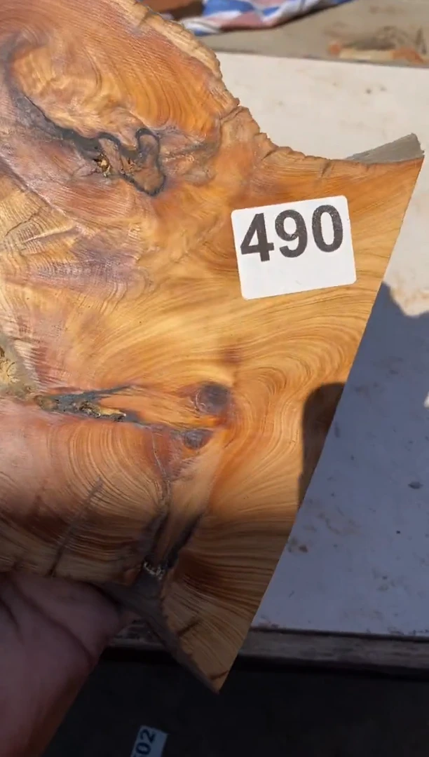 柏木（崖柏）太行陈化崖柏切片一块（津诚林）490