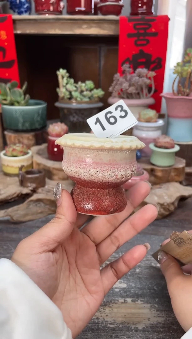 【闪购商品】摆件163知木小芳花盆