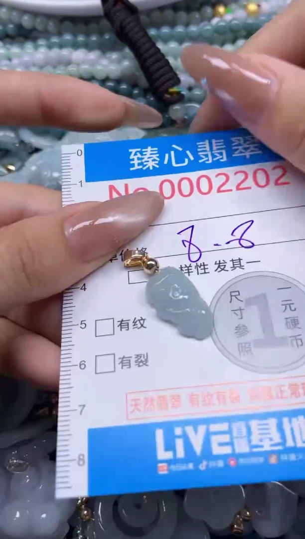 颈饰未镶嵌翡翠2202
