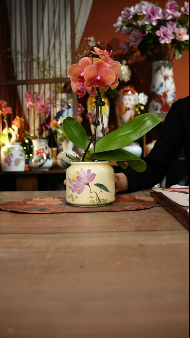 当代高温釉下彩手绘陶瓷餐具