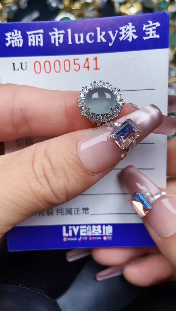 翡翠银S925镶嵌颈饰0541