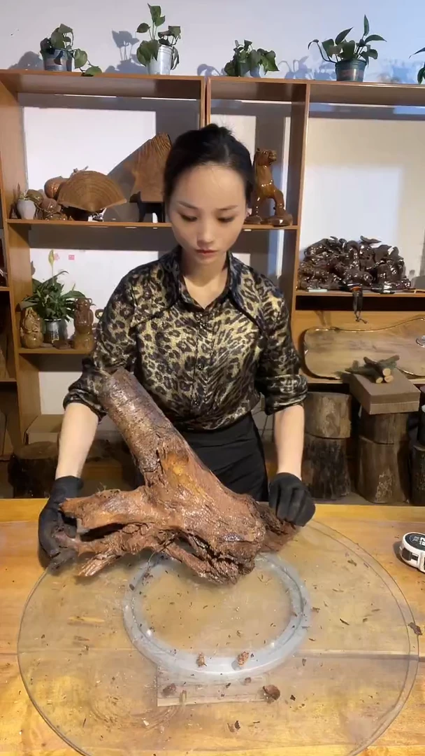 金丝楠阿祥金丝楠闪购链接