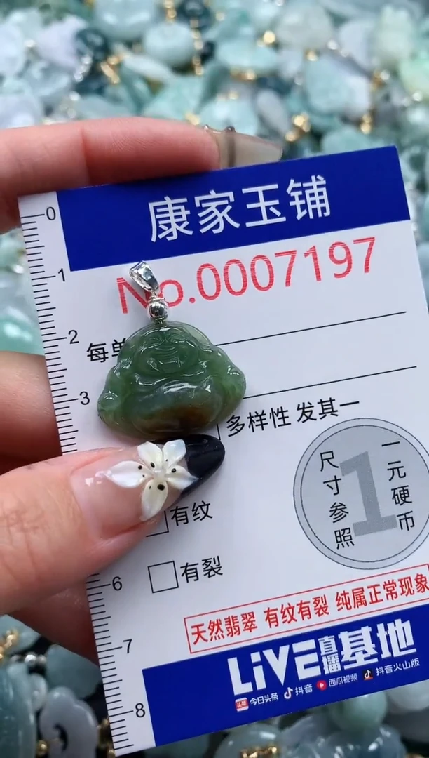 翡翠未镶嵌颈饰7197