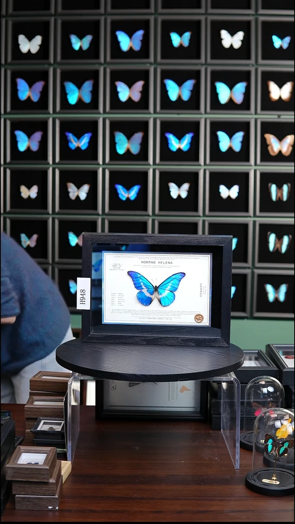 塞**森换香樟木框低反射玻璃