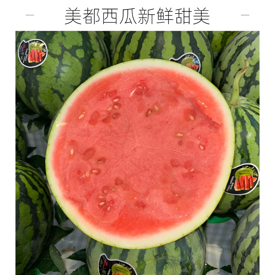 美都西瓜约10斤左右西瓜同城配海南省