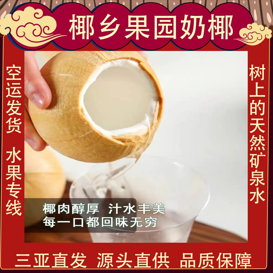 海南当季新鲜牛奶椰皇