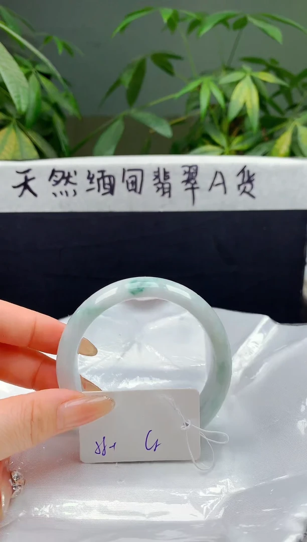 未镶嵌手镯翡翠19