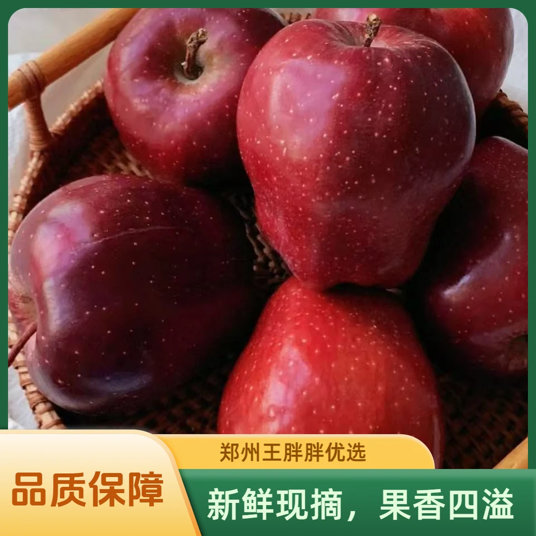 【花牛苹果】甘肃天水产地   偏糯甘甜 净重7斤