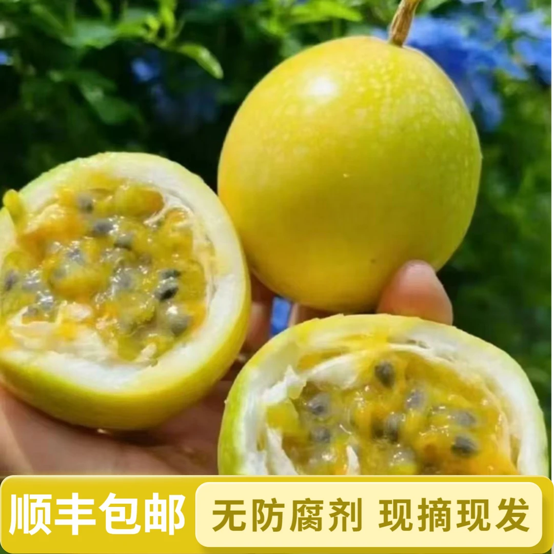 顺丰包邮 钦蜜九号黄金百香果高山新鲜现摘香甜多汁当季水果福建