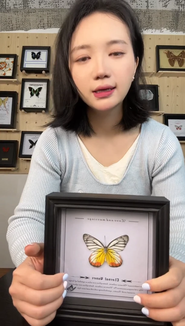 优越斑粉蝶（蝴蝶装饰画6寸框）