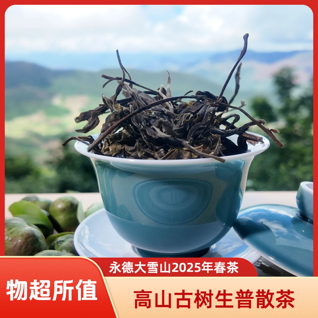 古树生普散茶 50g 试喝装·冰糖韵回甘快2025年永德大雪山高山春茶