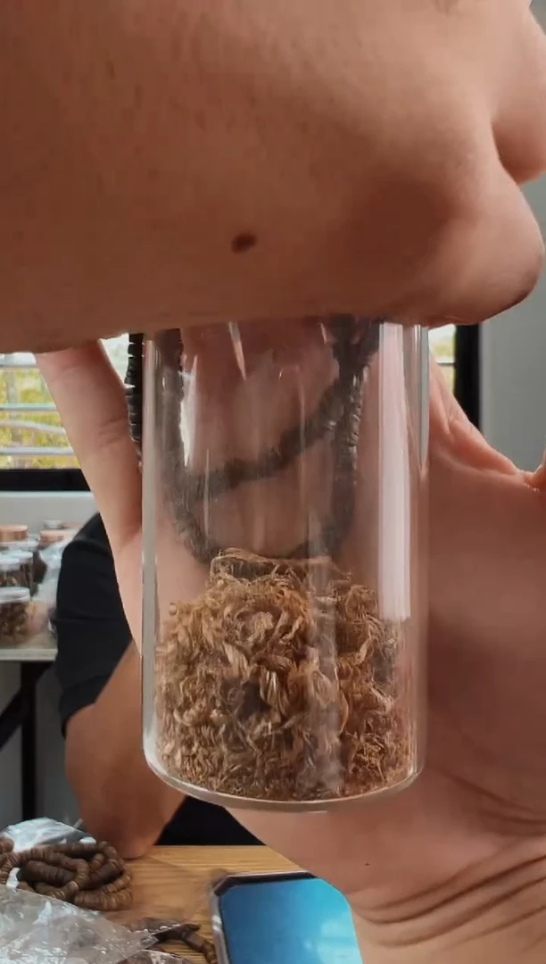 沉香碎屑沉香沉水虫漏片珠单圈3克多样性发一