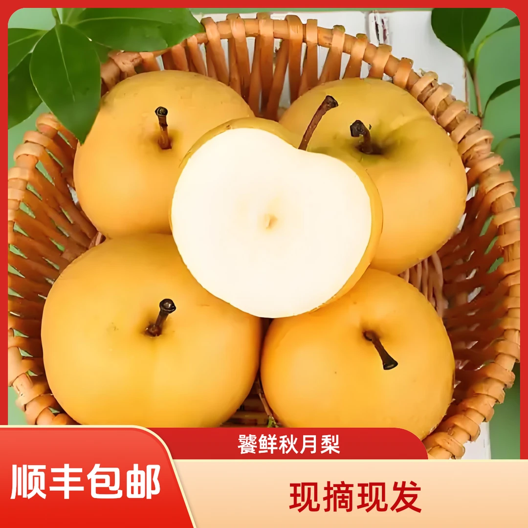 饕鲜山东秋月梨 4.5斤4-6颗家庭装/礼盒装 汁水丰富 脆爽清甜