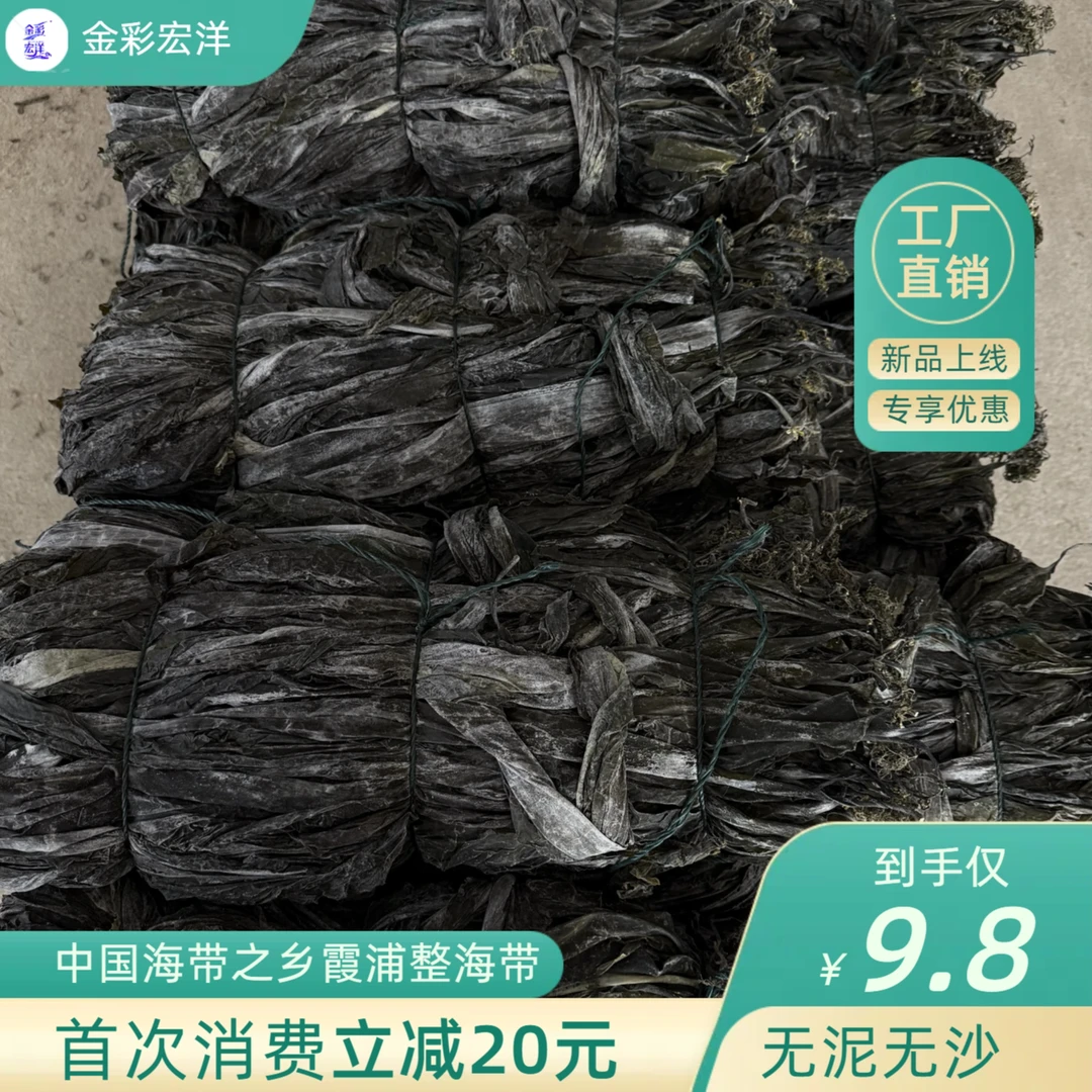 500g福建霞浦干净厚实整张干海带无砂煲汤新优质海带头丝片结批发