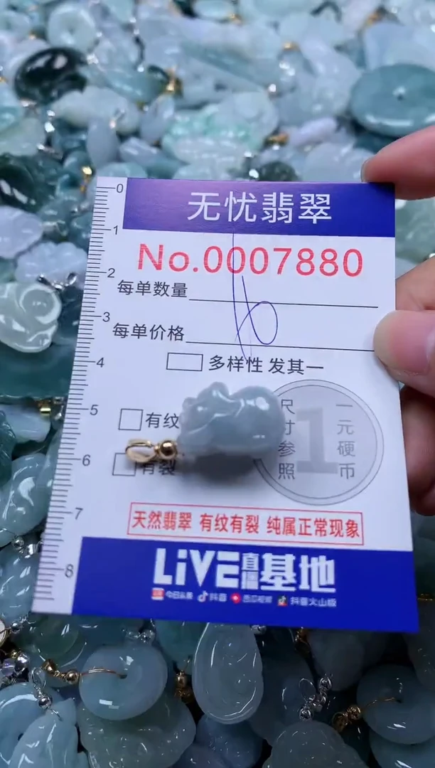 颈饰未镶嵌翡翠7880