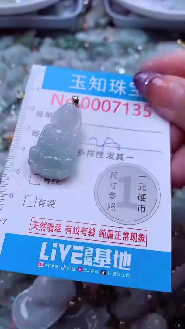 翡翠未镶嵌吊坠(不含链)7135