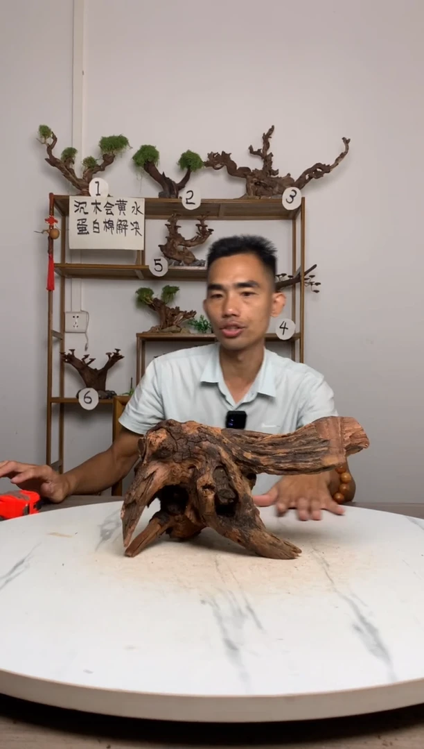 秦****！鱼缸造景沉木摆件
