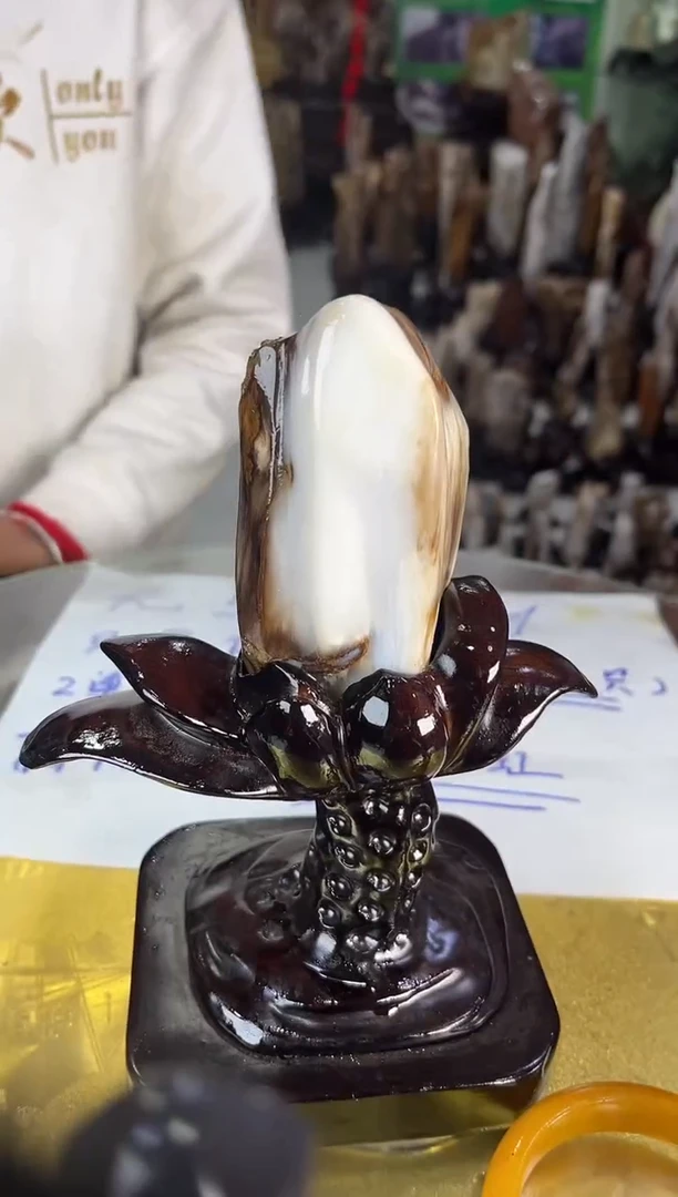 未镶嵌珠宝奇石硅化玉缅甸天然树化玉精品摆件