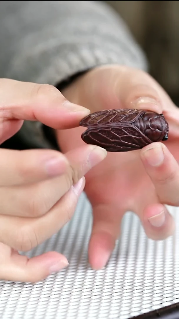 茶壶紫砂紫砂知了