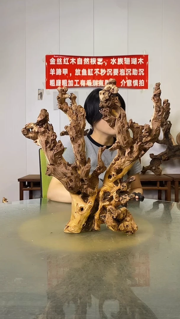 香榧木点**金金丝红木   羊蹄甲
