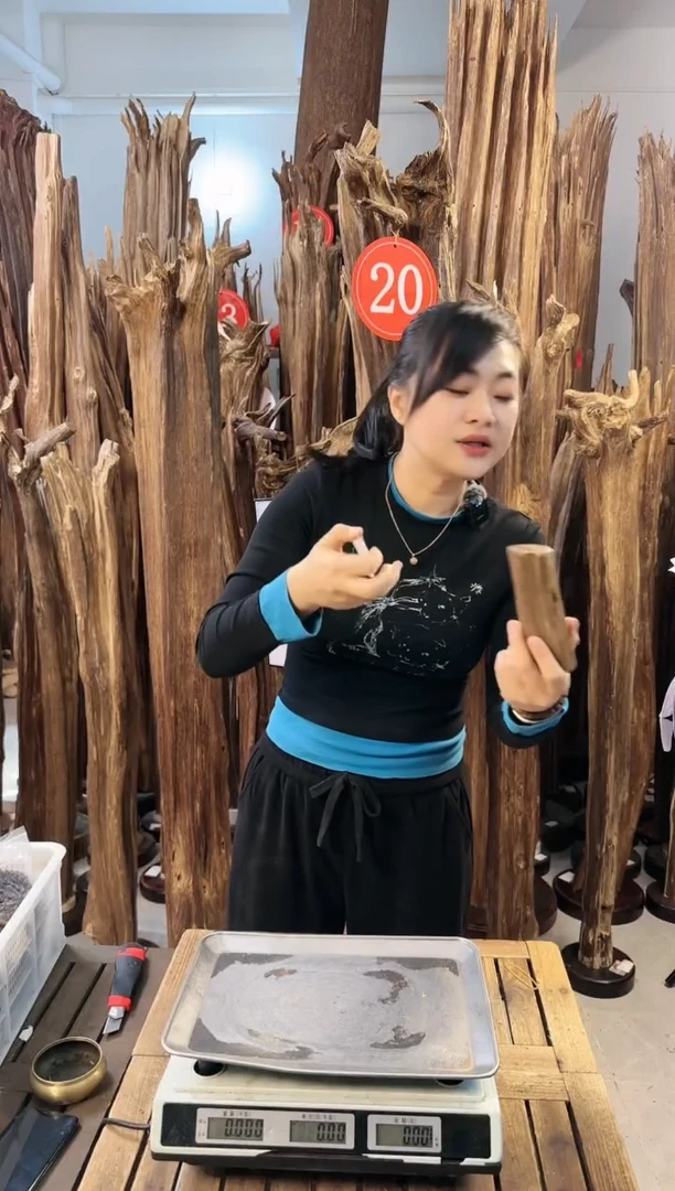 【闪购商品】沉香摆件沉香摆件多样性发一件67