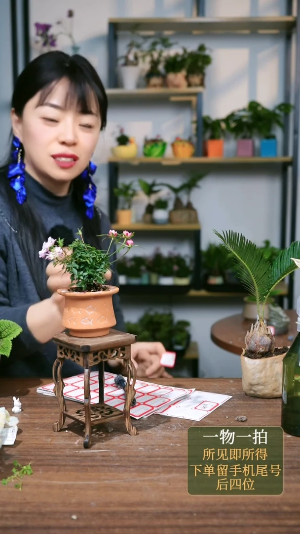 【闪购商品】169--4255海马几3个