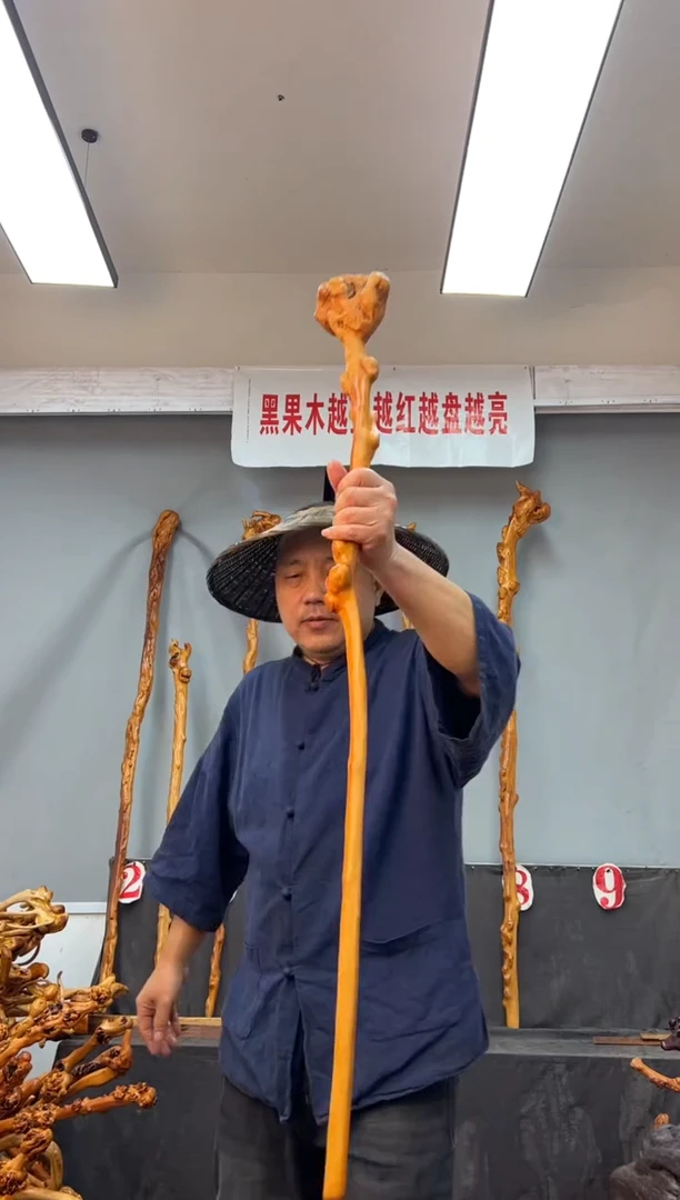 【闪购商品】黑果木其他黑果木575