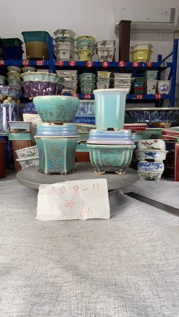218六只美人醉花盆