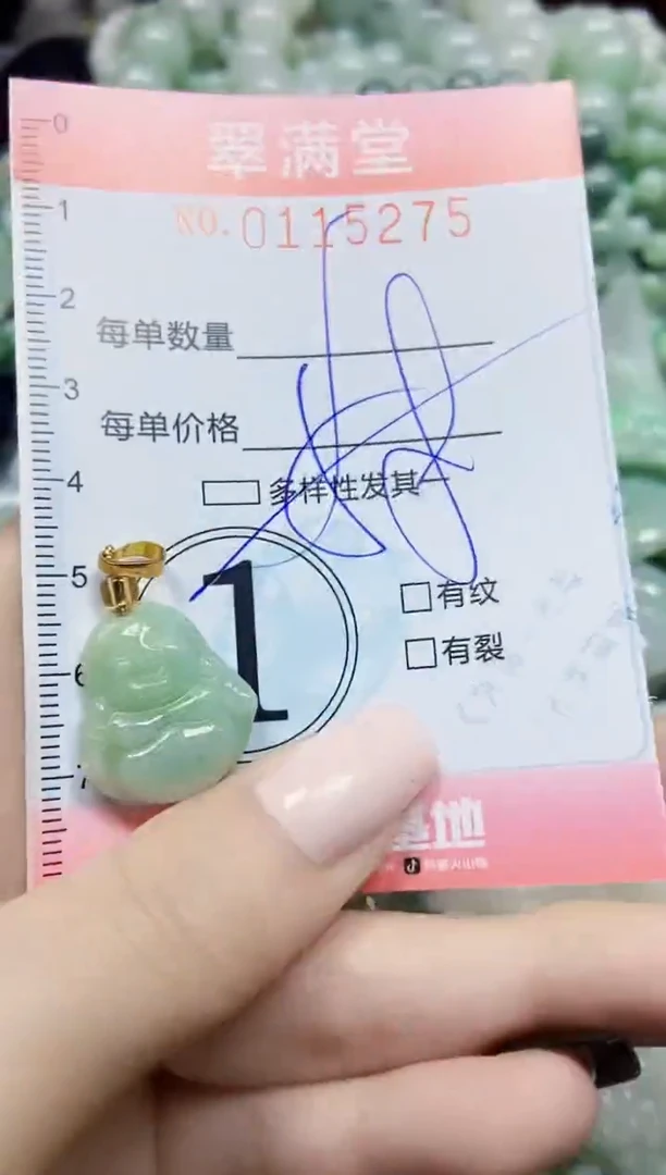 【闪购商品】翡翠颈饰未镶嵌闪购0115275多样性发其一