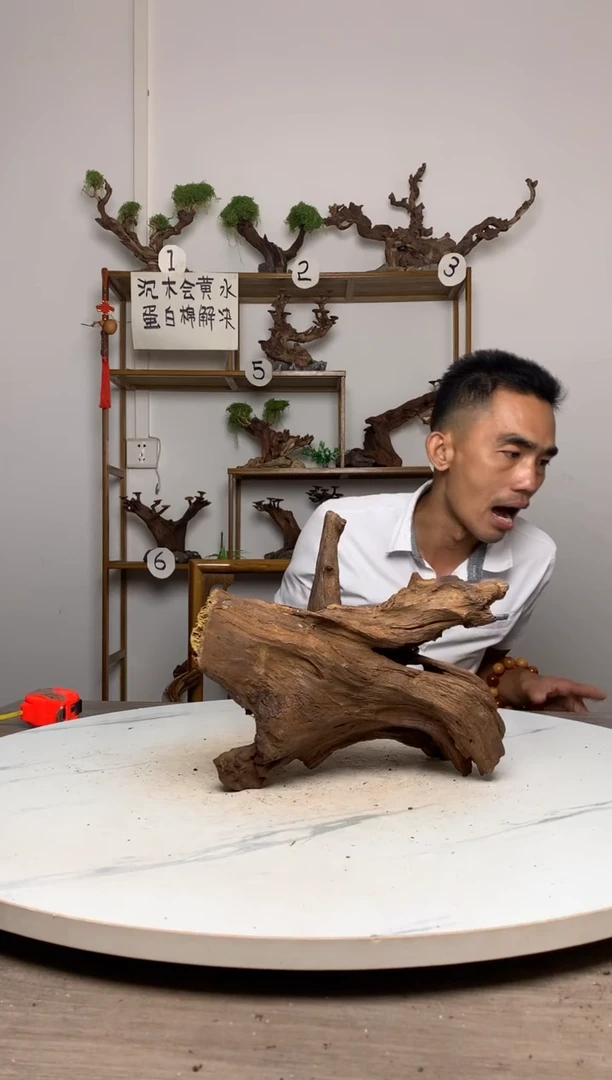 美****铺鱼缸造景沉木摆件