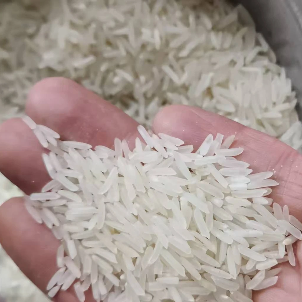 虾稻清香猫牙米20斤五袋