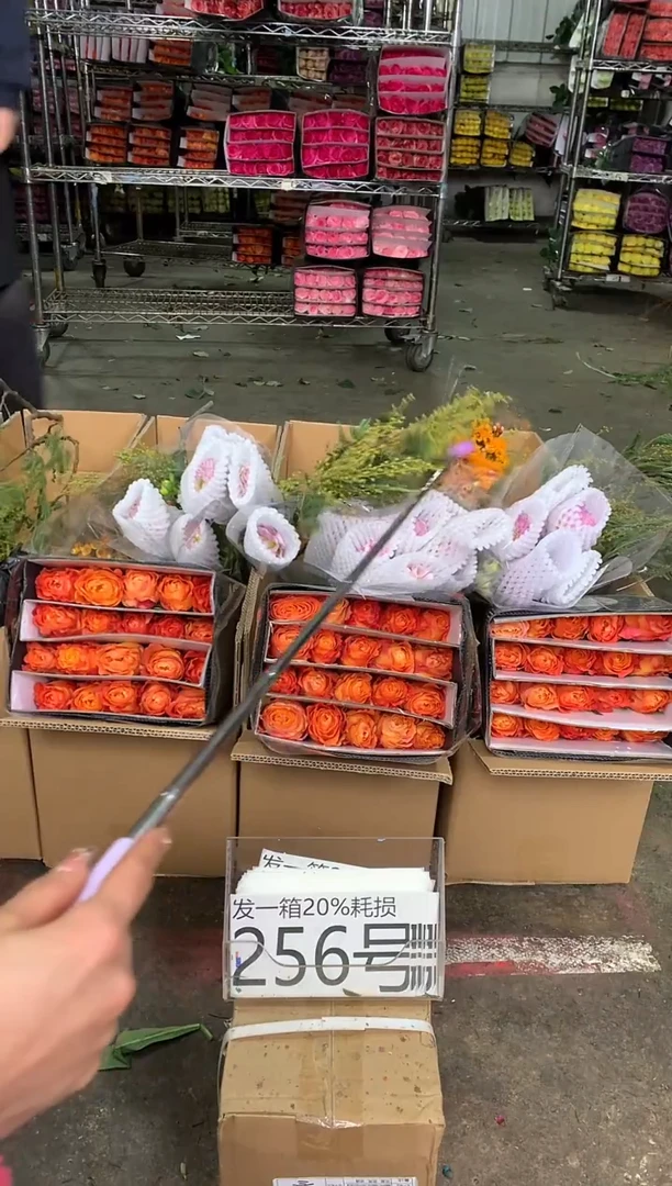 256号♥中通含20%耗损发一箱鲜花