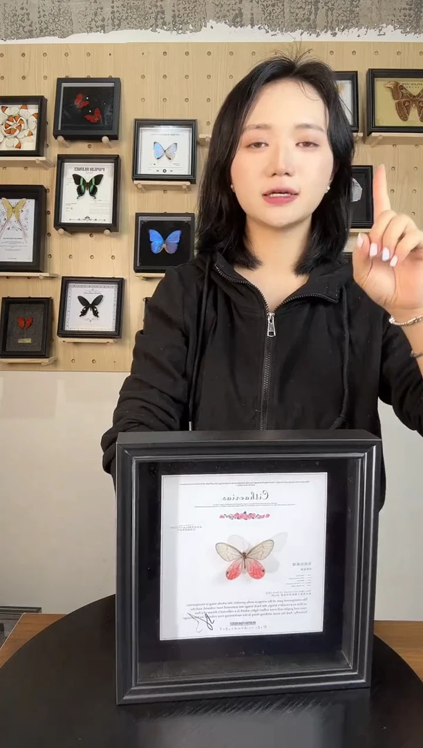 玫瑰青凤蝶（蝴蝶装饰画8寸框）