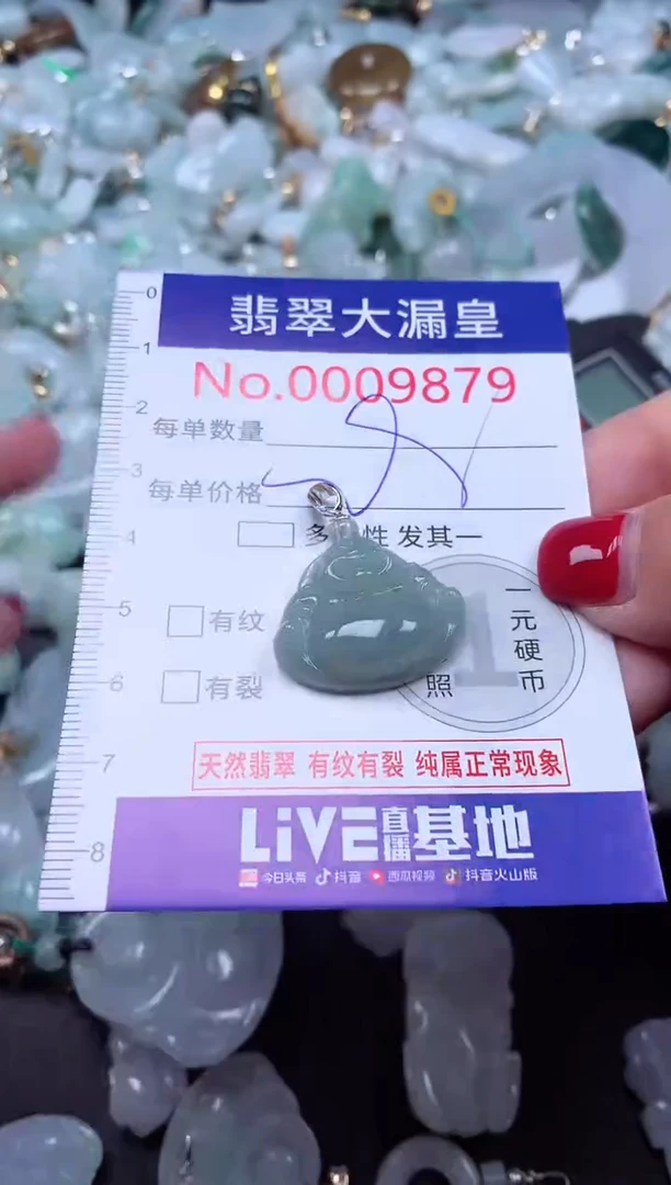 颈饰未镶嵌翡翠9879
