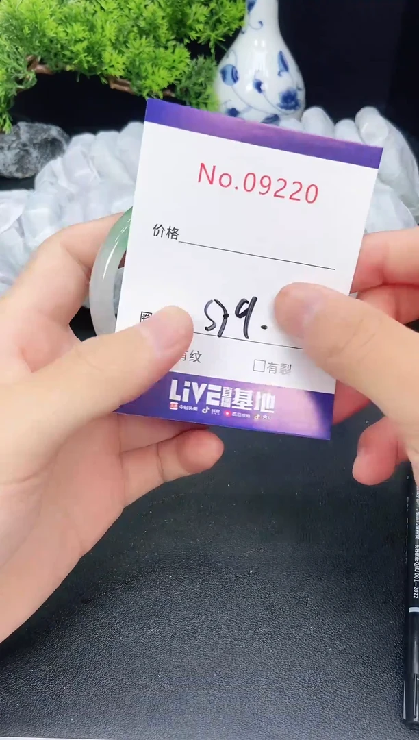 未镶嵌手镯翡翠9220