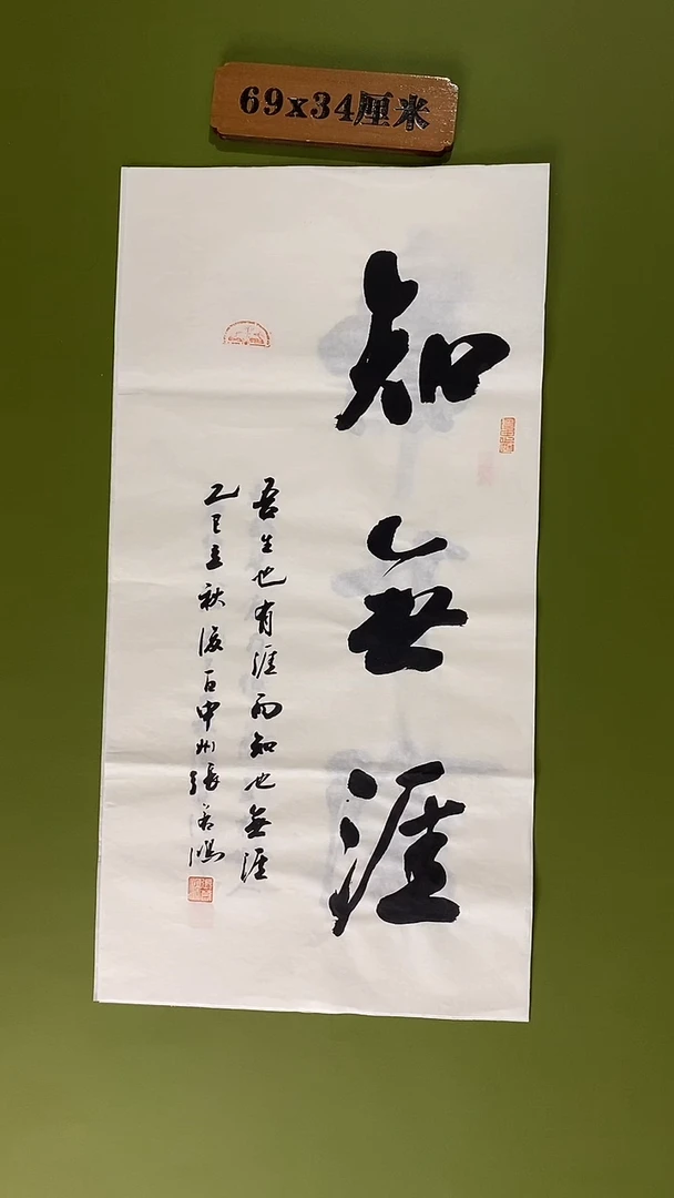 书法书法 张若鸿 尺寸69cm*34cm