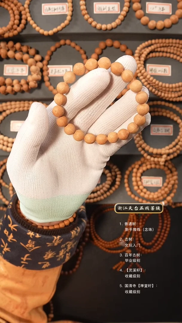 【闪购商品】五线菩提吊坠原皮手串9+10+