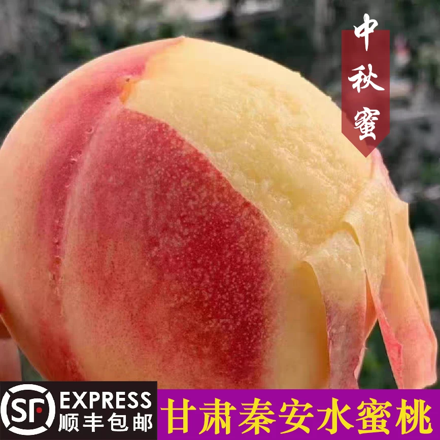【甘肃秦安蜜桃中秋蜜】清晨采摘香甜多汁果农直发省外
