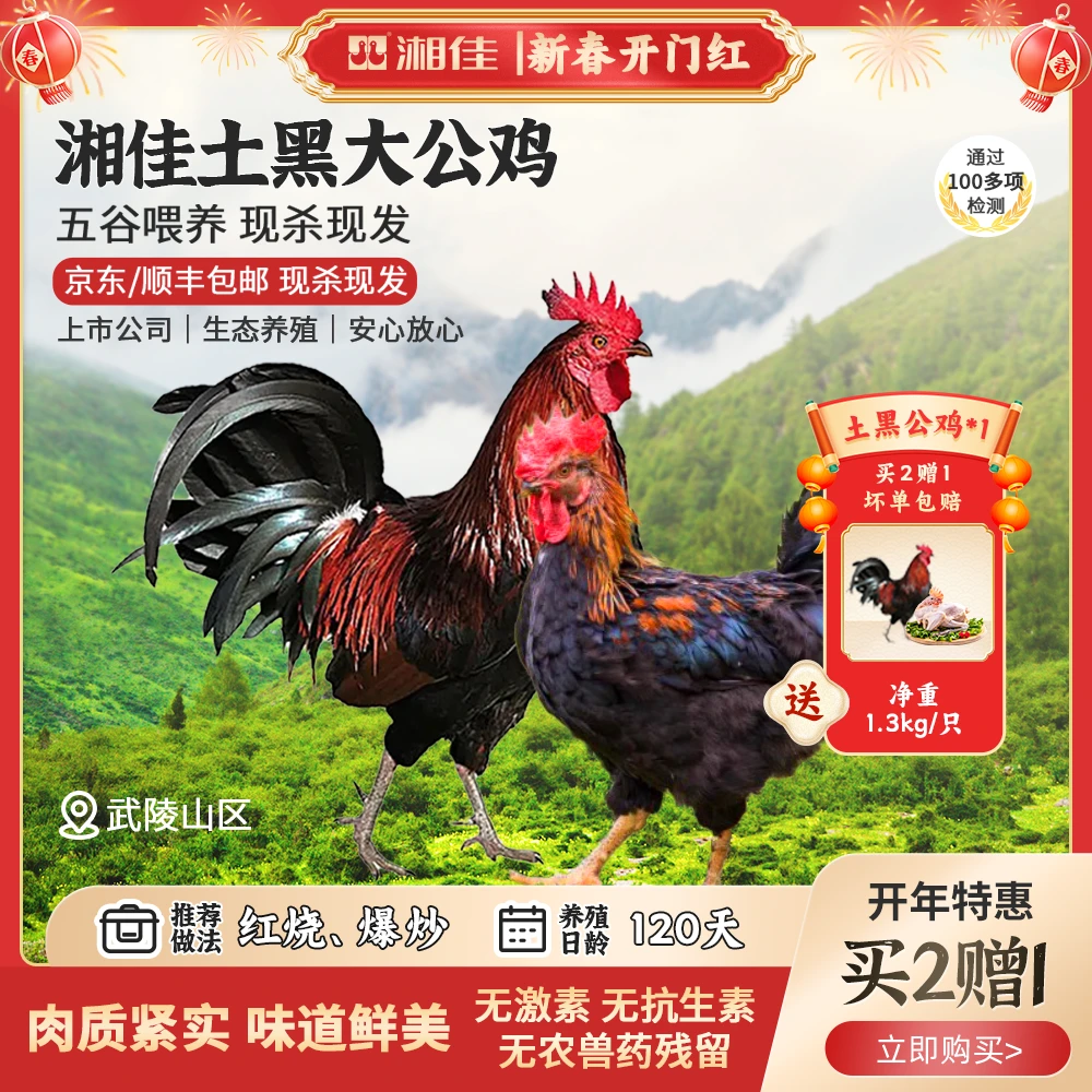 【到手3只】湘佳土黑大公鸡低质高蛋白山林散养肉质紧实现抓现杀