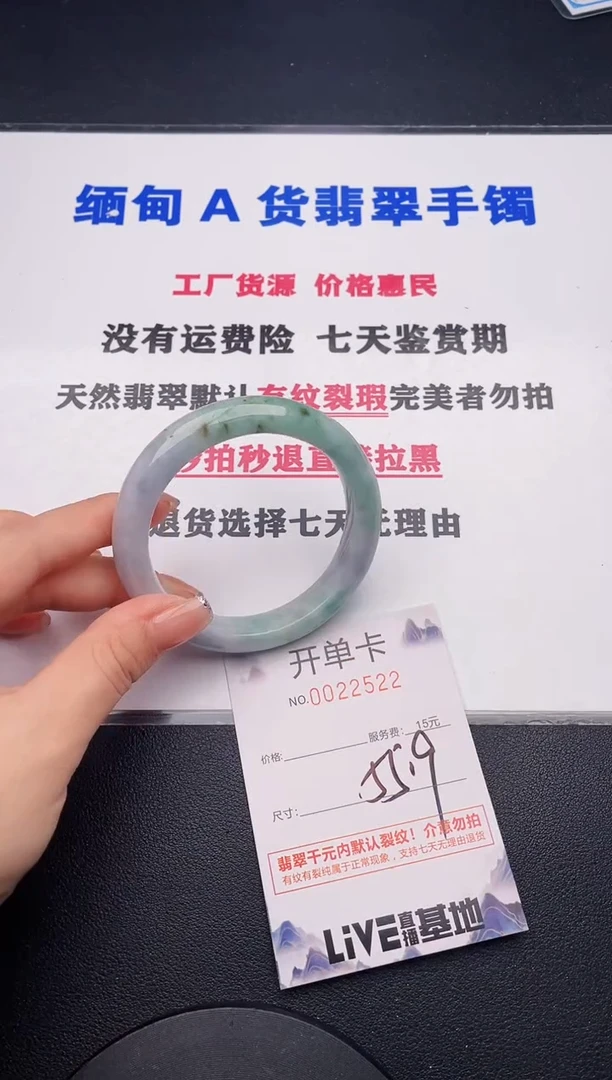 未镶嵌手镯翡翠22